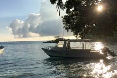 IMG_0235 IMG_0235