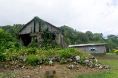 DSC06536