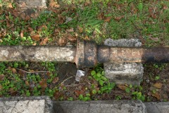 DSC06549