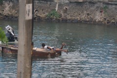 DSC06575