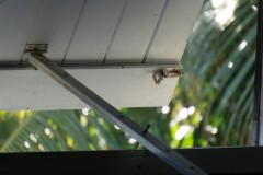 DSC06579
