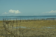 DSC06613