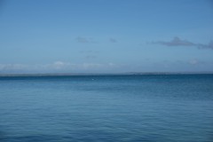 DSC06803