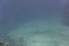 DSC06828