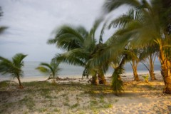 DSC06866