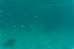 DSC07048