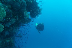 DSC08358