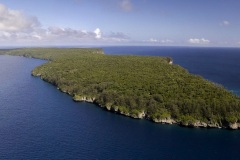 DJi1