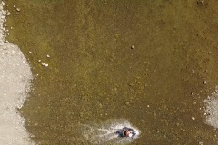 DJI_0013.00_22_16_16.Still012 DJI_0013.00_22_16_16.Still012