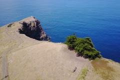 DJI_0055