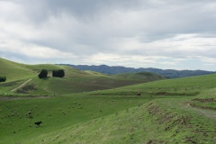 DSC09419