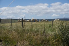 DSC09631