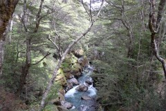 SAM_8423