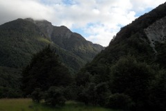 SAM_8517